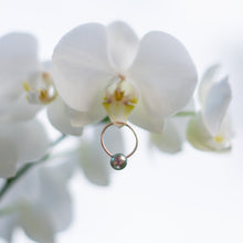 Load image into Gallery viewer, 14KRG Tahitian Pearl Solitaire Ring
